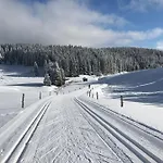 Lägenhet Polacek Nejdek