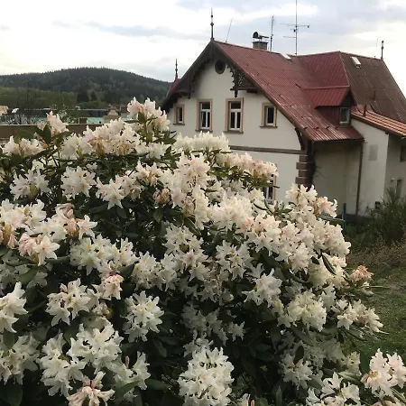 Apartment Polacek *