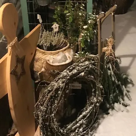 Apartament Polacek *