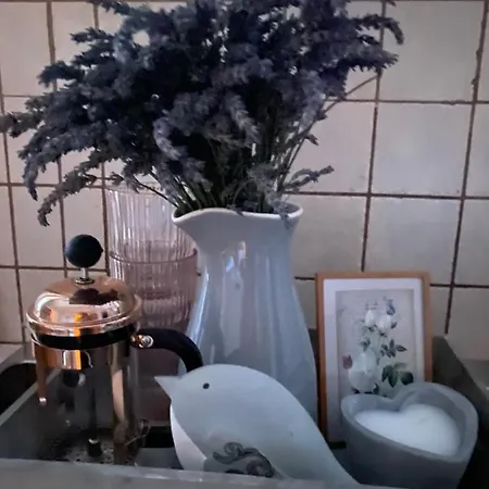 Apartment Polacek