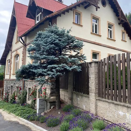 Polacek Apartment Nejdek