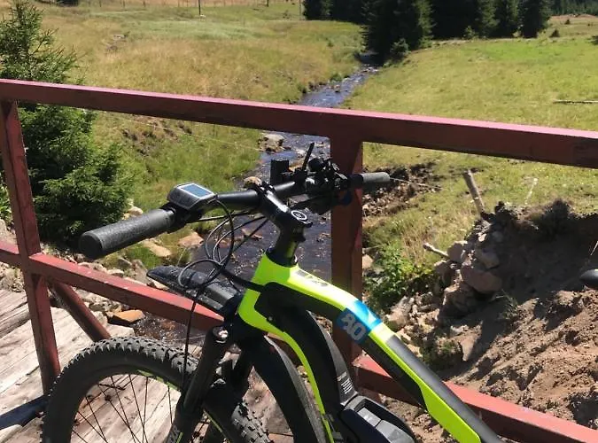 Daire Polacek Nejdek