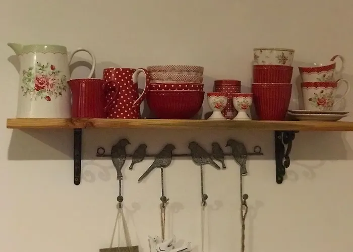 Daire Polacek Nejdek