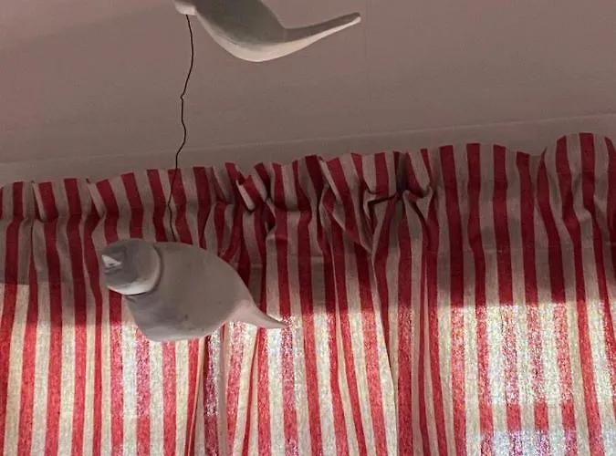 Polacek Daire Nejdek