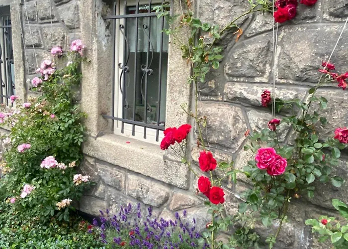 Daire Polacek Nejdek