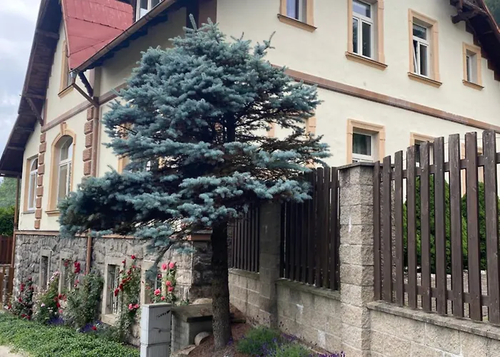 Polacek Daire Nejdek